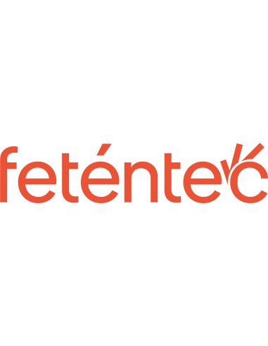 Feténtec Pantalla Auxiliar 9,7" (para...